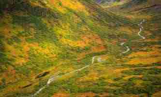 Best UTV trails in Alaska
Alaska off-road adventure