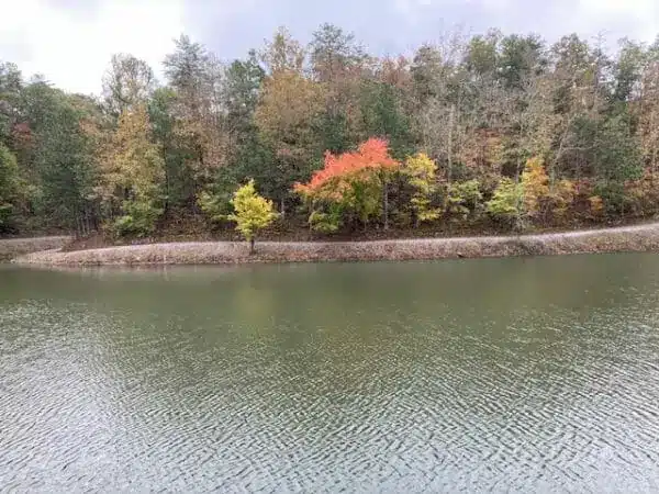 SXS riding in Alabama
Best off-road trails Alabama