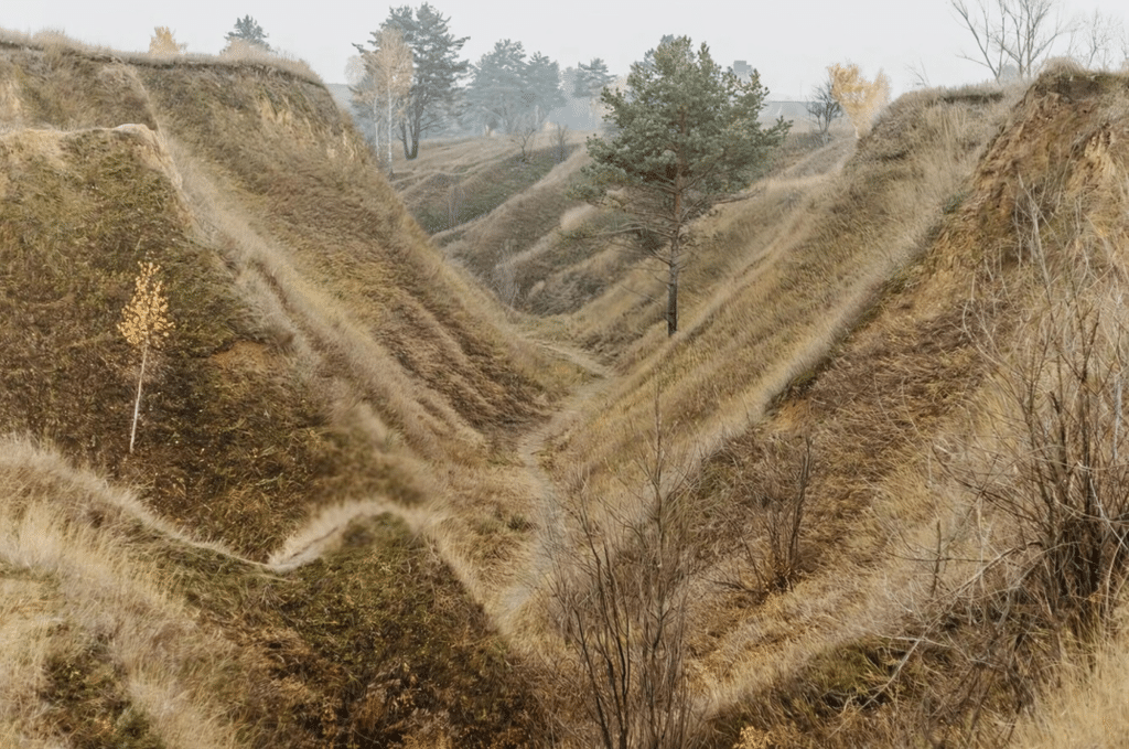 Best UTV trails in Alaska
Alaska off-road adventure