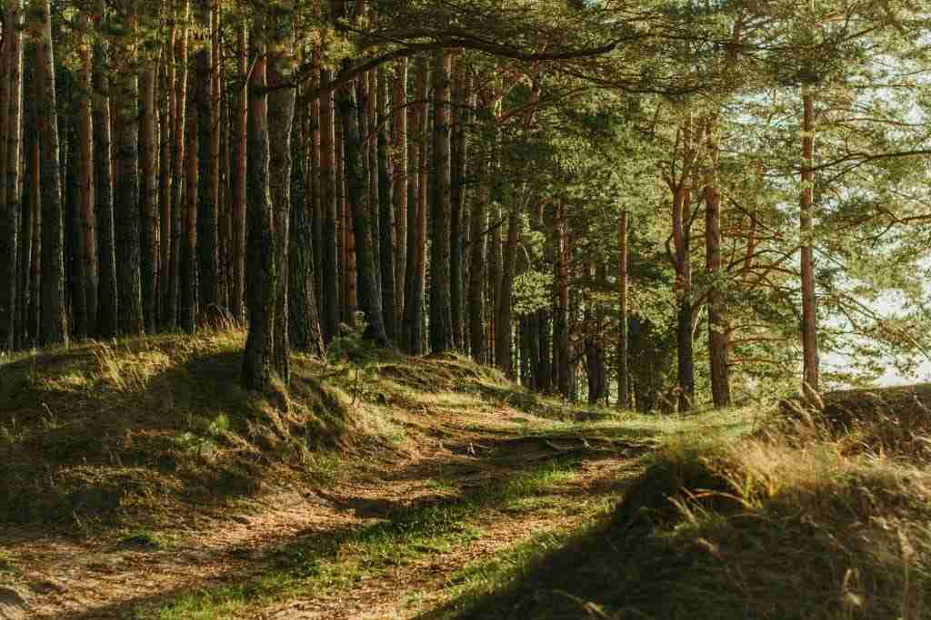Northwest SXS trails
best off-road destinations