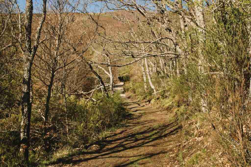 Best UTV trails in Alaska
Alaska off-road adventure