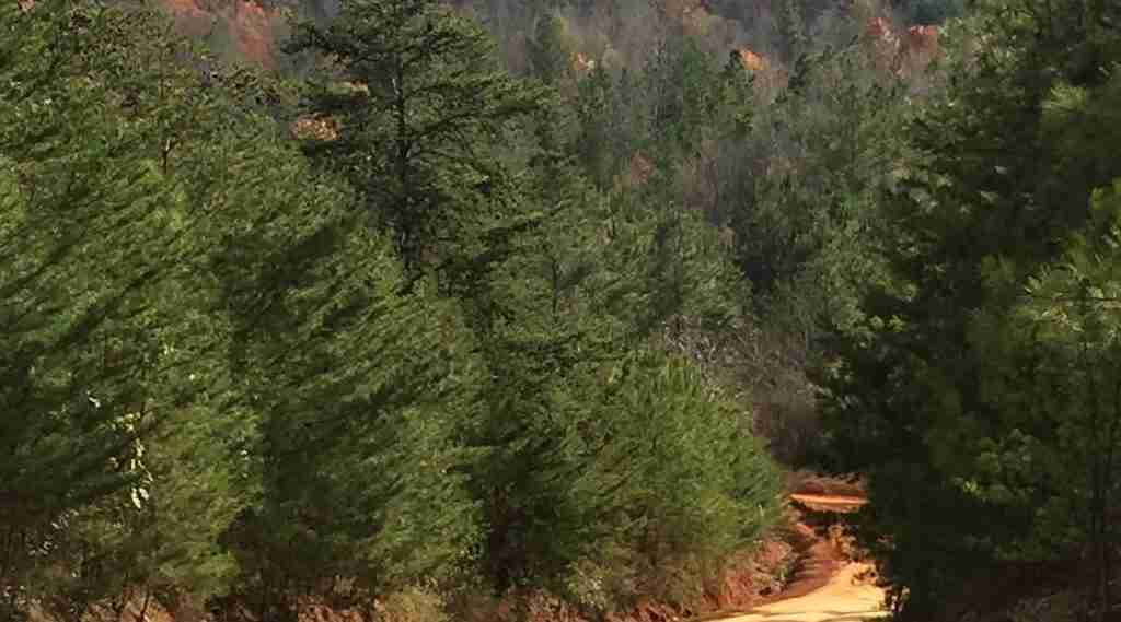 SXS riding in Alabama
Best off-road trails Alabama