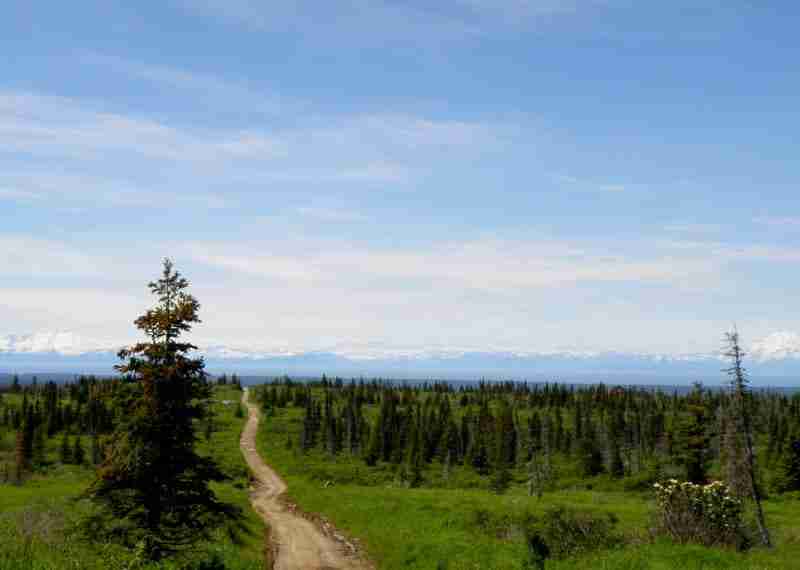 Best UTV trails in Alaska
Alaska off-road adventure