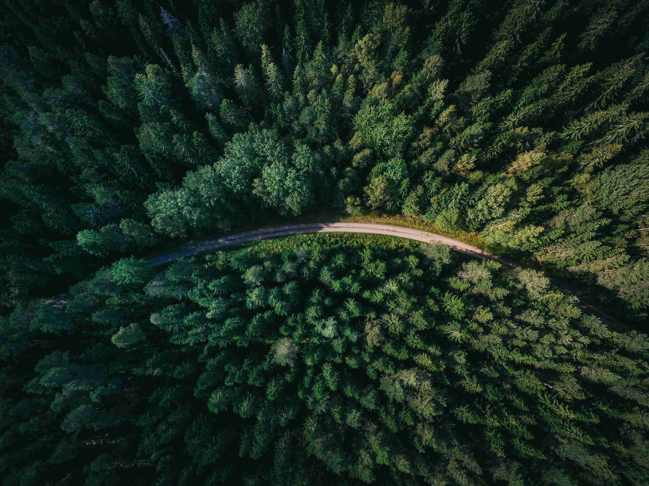 hidden SXS trails