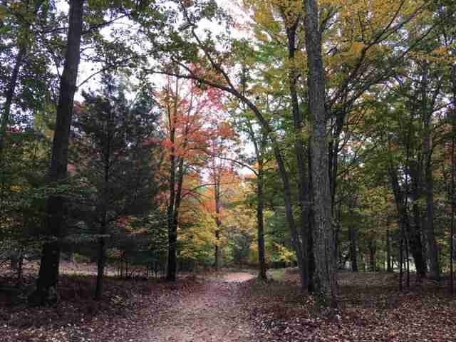 Whiskey Creek Campground Custer
popular atv trails michigan
best camping spots in michigan